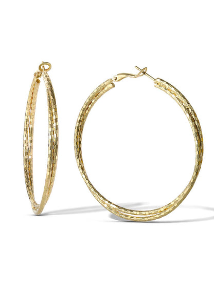 Double Hoop Faceted Earrings