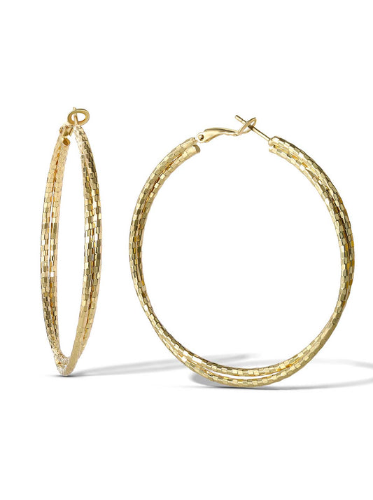 Double Hoop Faceted Earrings