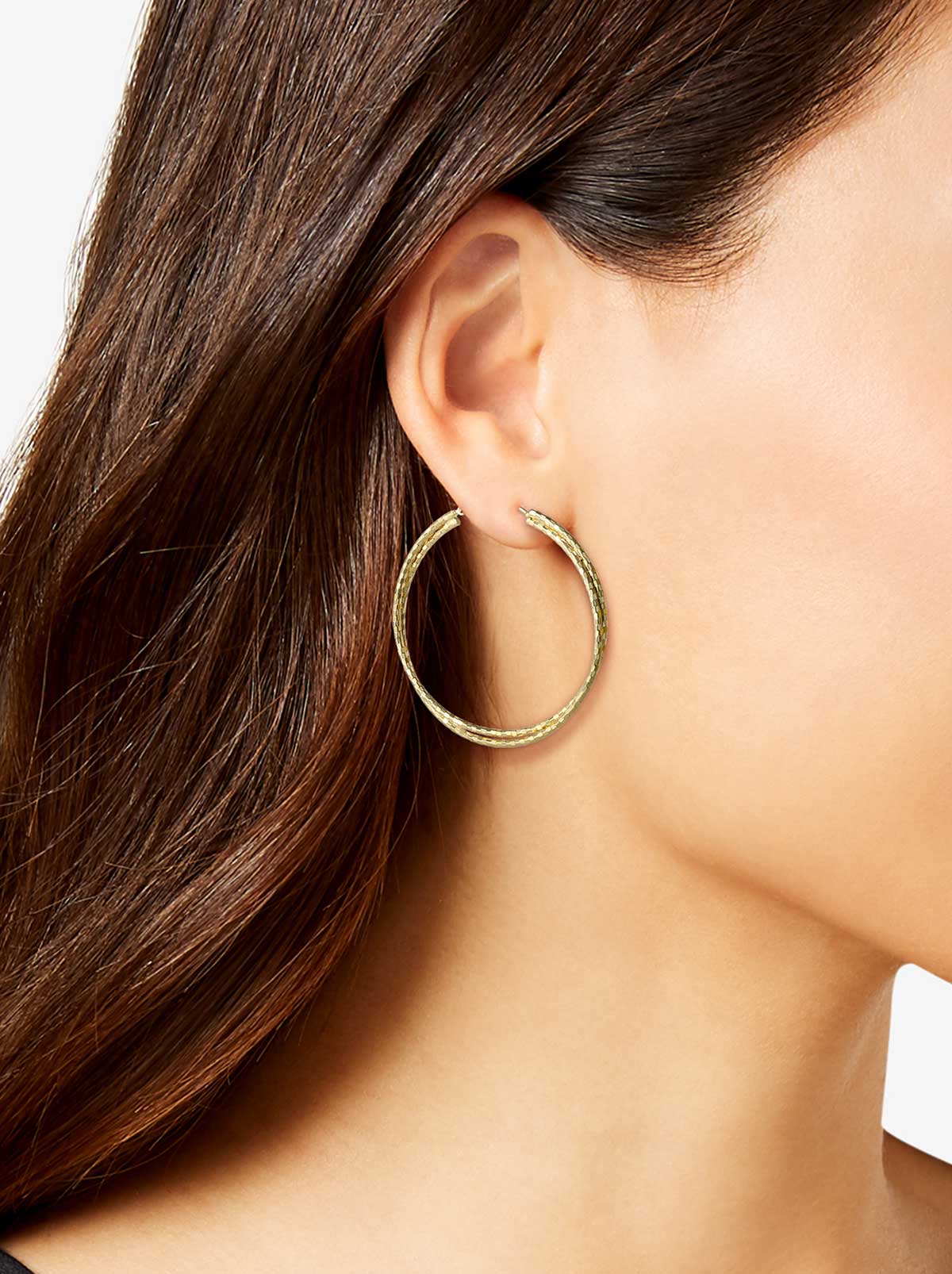 Double Hoop Faceted Earrings