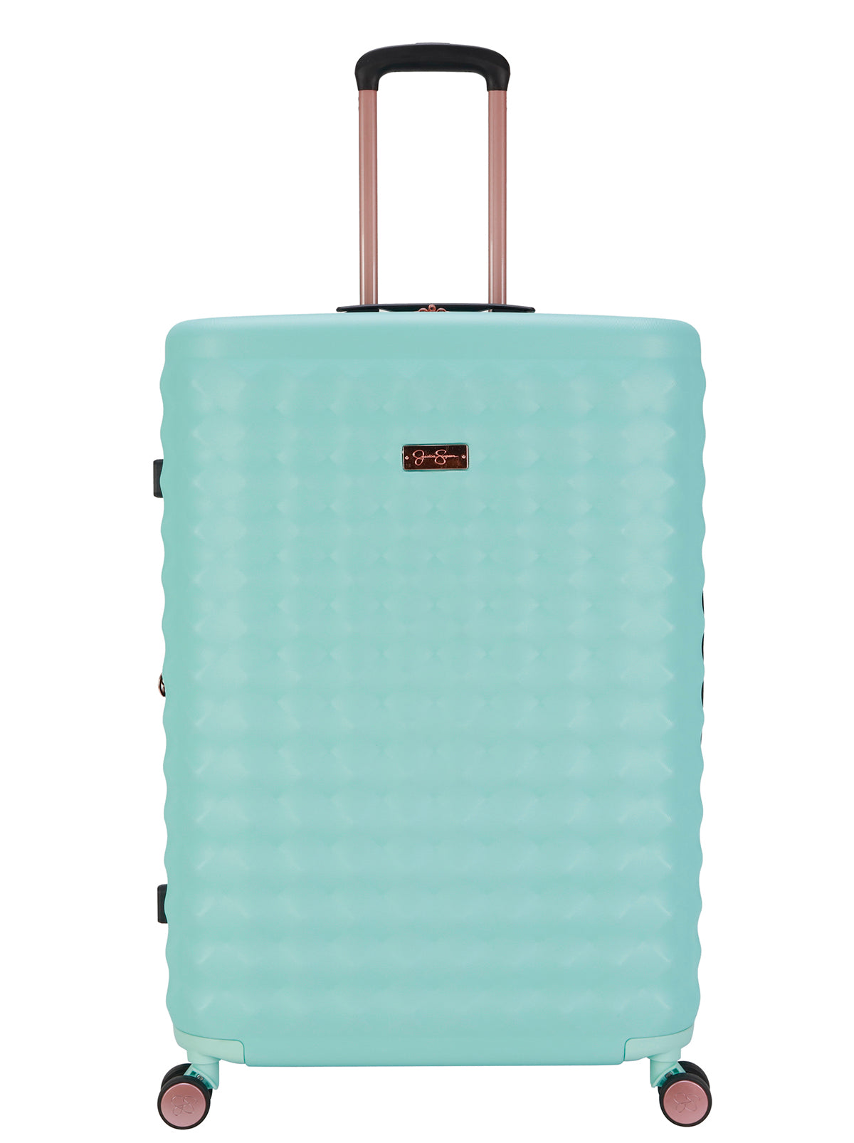 Vibrance Luggage Collection in Blue Tint